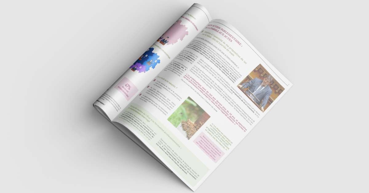 Michel-masset—lettre-senateur-graphisme - Communication digitale - Lot-et-Garonne - Anthony LAC