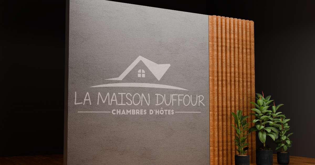 logo-identite-maison-duffour-tonneins - Communication digitale - Lot-et-Garonne - Anthony LAC 5